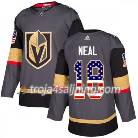 Vegas Golden Knights tröja James Neal 18 Adidas 2017-2018 Grau USA Flag Fashion Authentic - NHL Tröjor Herr